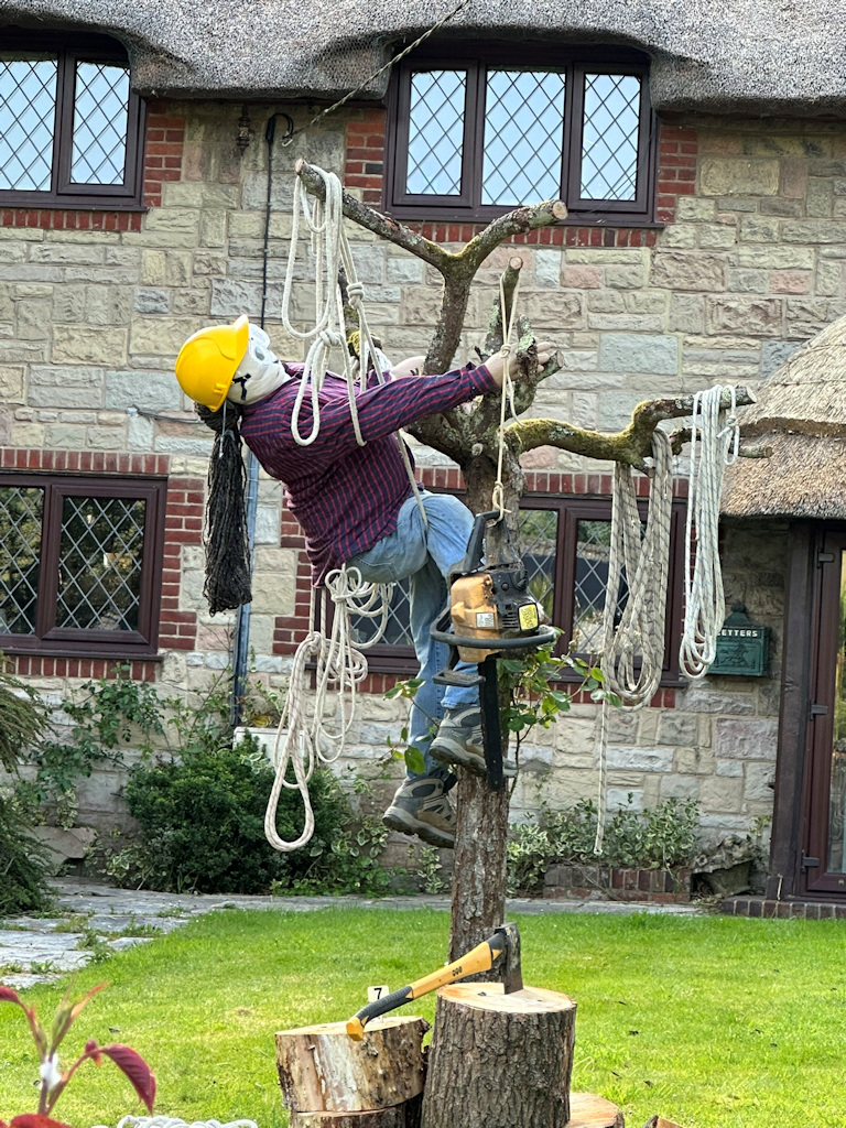 Image 12