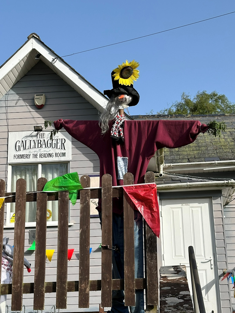 Image 16