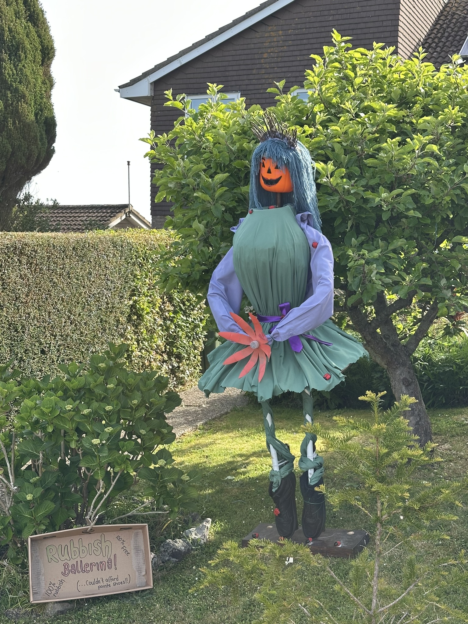 Image 29