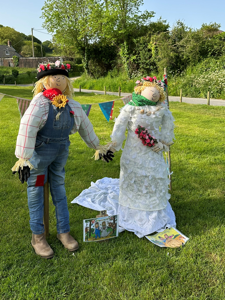 Image 37
