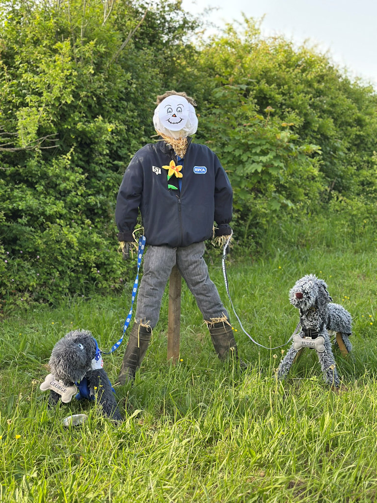 Image 68